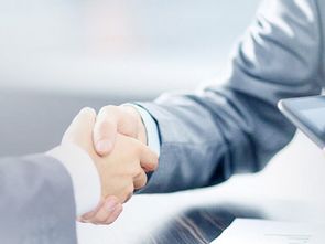 新市区公司注册与商务信息咨询 一站式服务助力企业启航